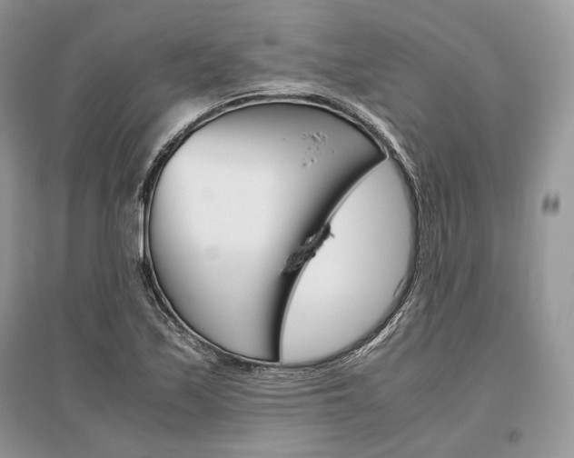 X0000096481171200801241140