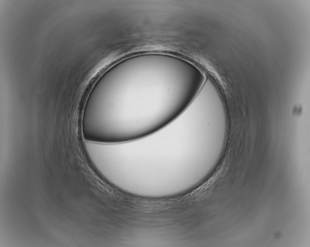 X0000096481173200801241140