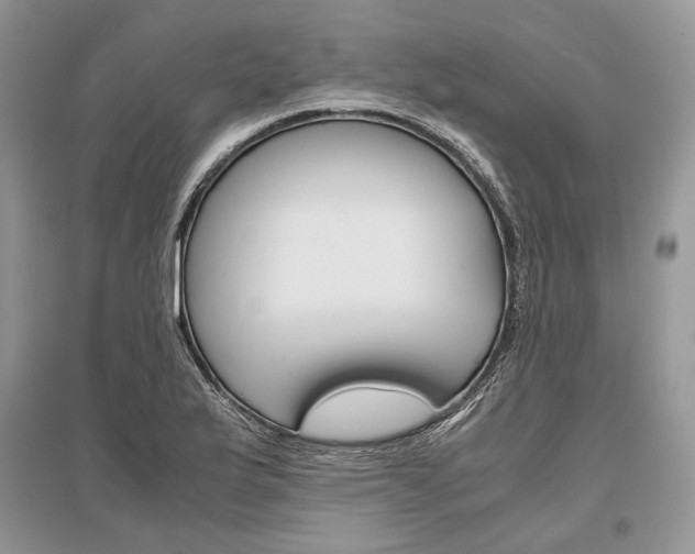 X0000096481175200801241140