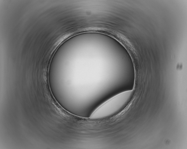 X0000096481177200801241140