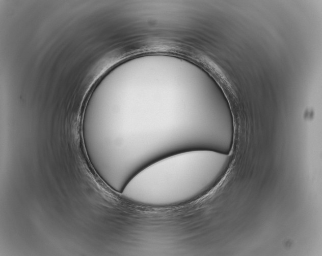 X0000096481178200801241140