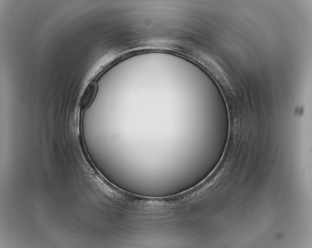 X0000096481180200801241140