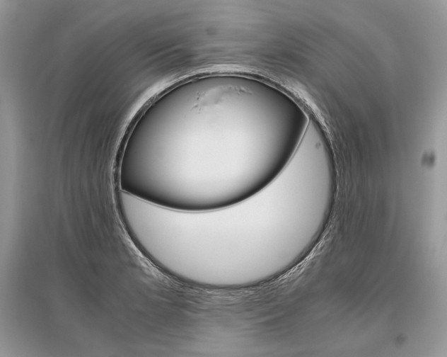 X0000096481181200801241140
