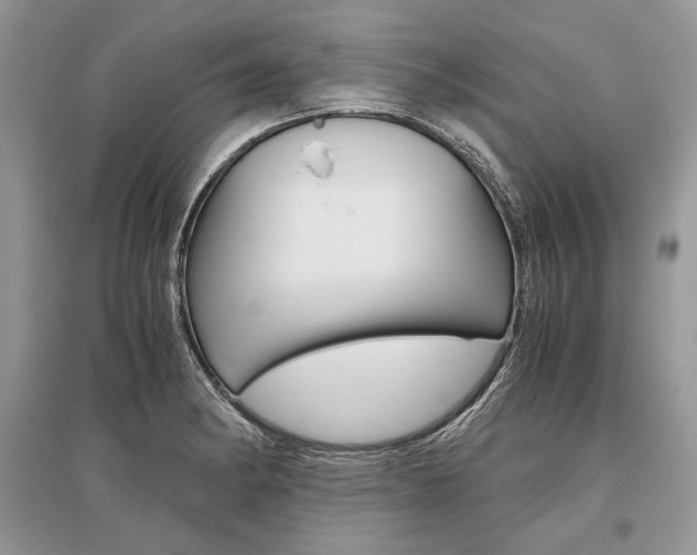 X0000096481182200801241140