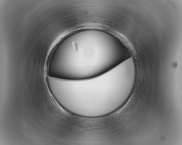 X0000096481188200801241140