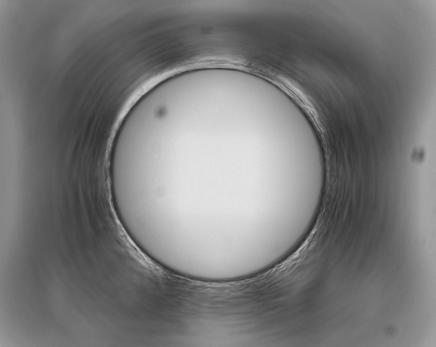 X0000096481192200801241140