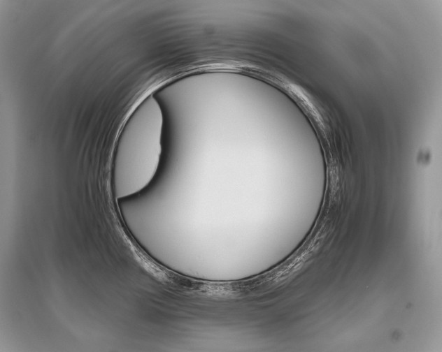 X0000096481194200801241140