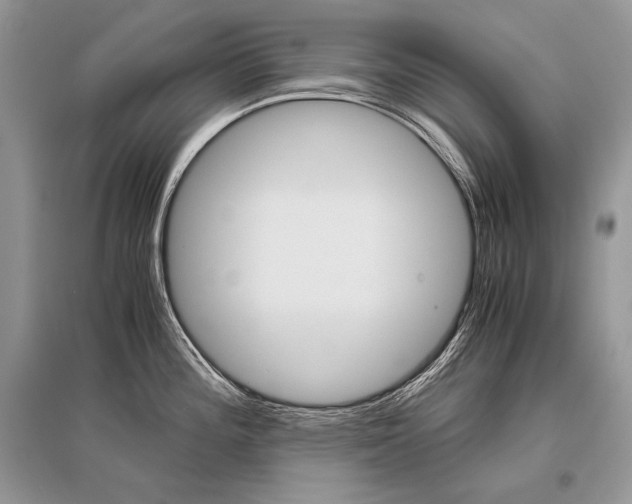 X0000096481196200801241140