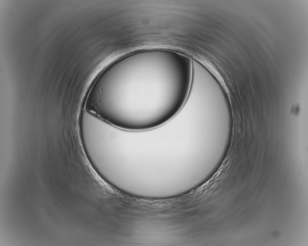 X0000096481197200801241140