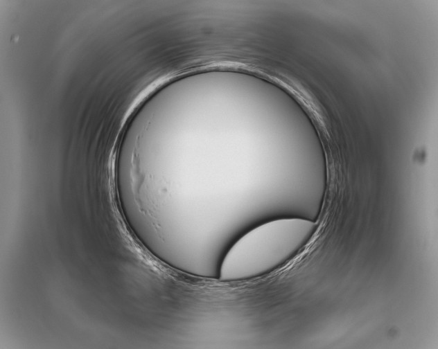 X0000096481198200801241140