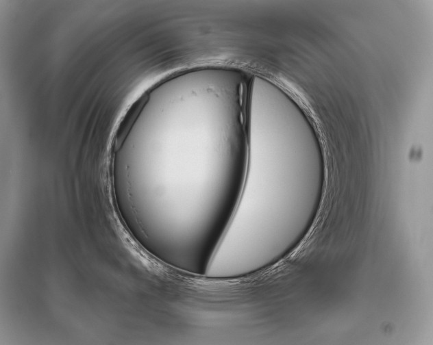 X0000096481200200801241139