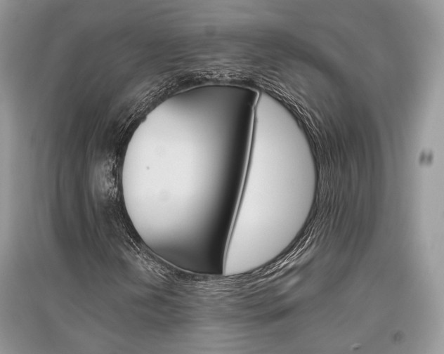 X0000096481202200801241139