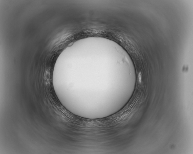 X0000096481203200801241139