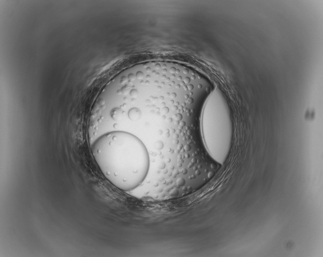 X0000096481205200801241139