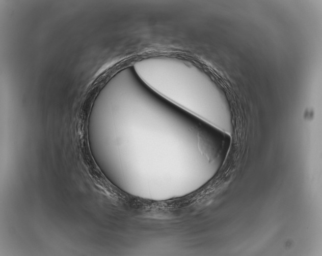 X0000096481206200801241139