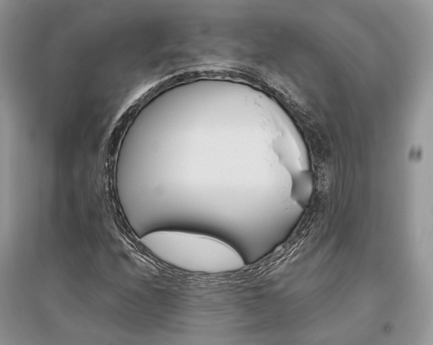 X0000096481208200801241139