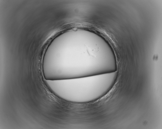 X0000096481211200801241139