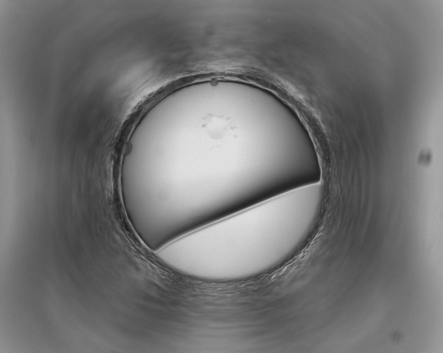 X0000096481214200801241139