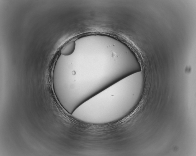 X0000096481215200801241139
