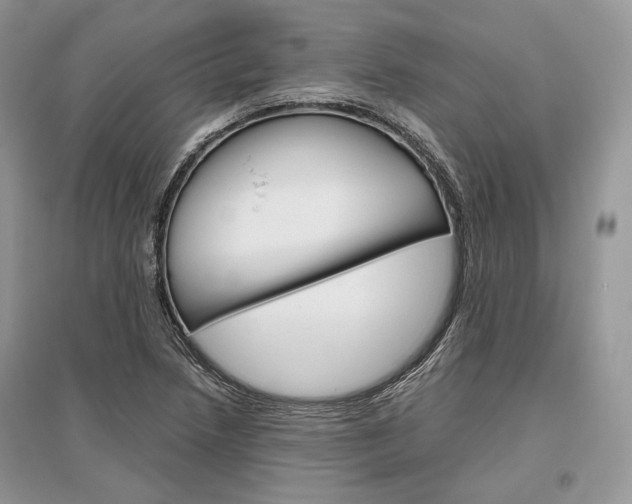 X0000096481218200801241139