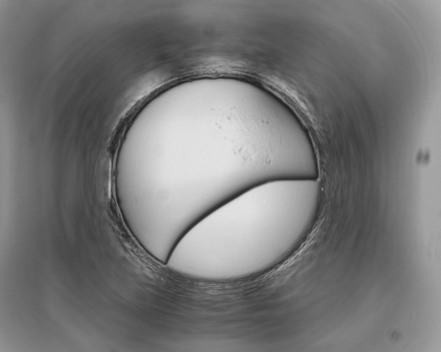 X0000096481219200801241139
