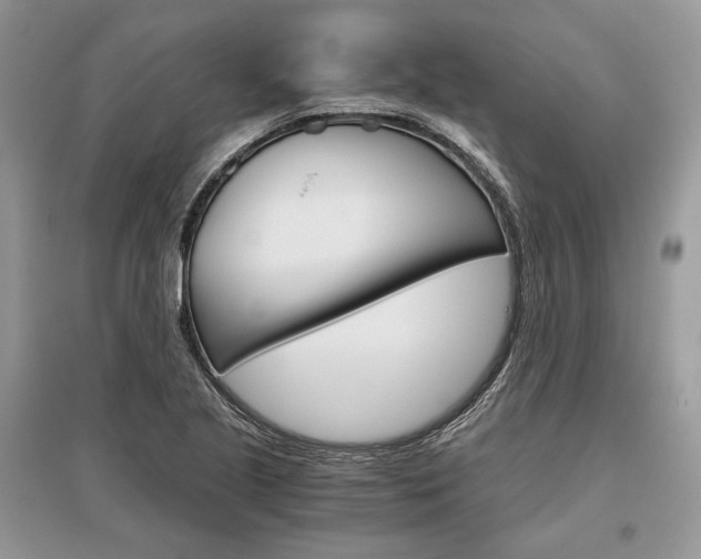 X0000096481221200801241139