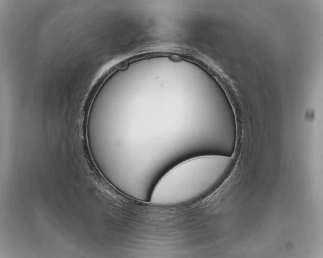 X0000096481222200801241139