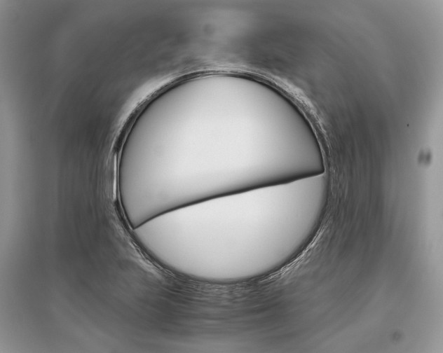 X0000096481223200801241139
