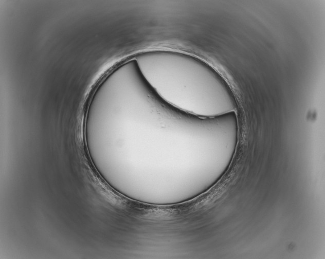 X0000096481224200801241139