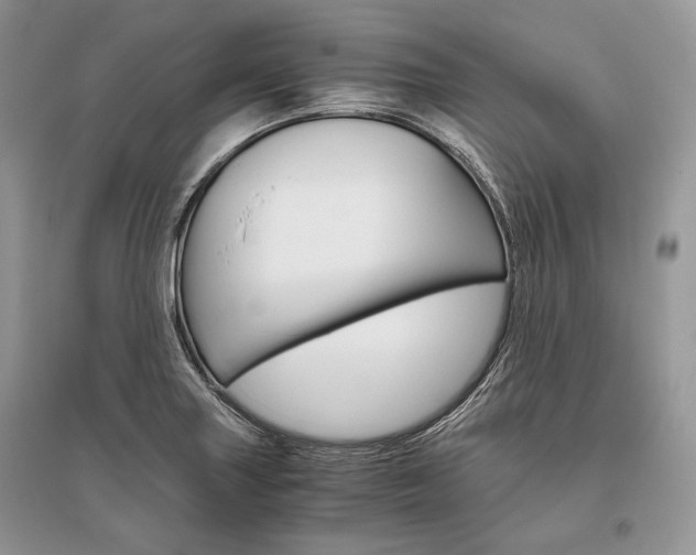 X0000096481227200801241139