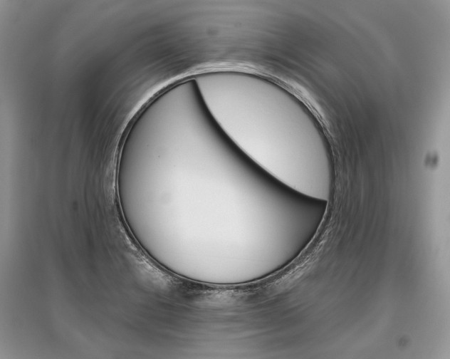 X0000096481228200801241139