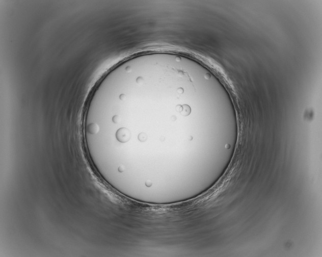 X0000096481231200801241139