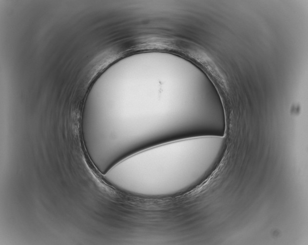 X0000096481233200801241139