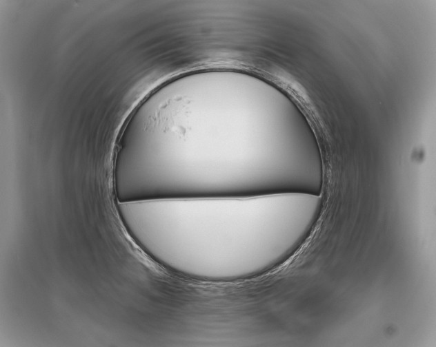X0000096481236200801241139