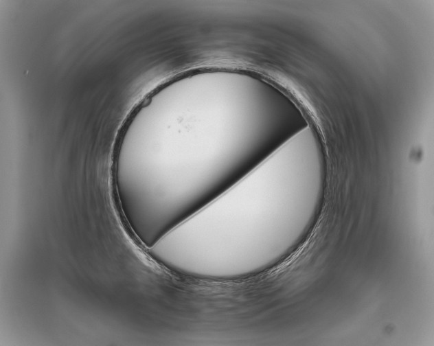 X0000096481237200801241139