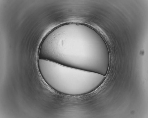 X0000096481240200801241139