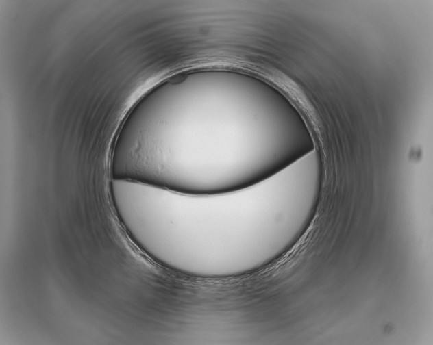 X0000096481242200801241139