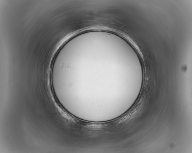 X0000096481245200801241139