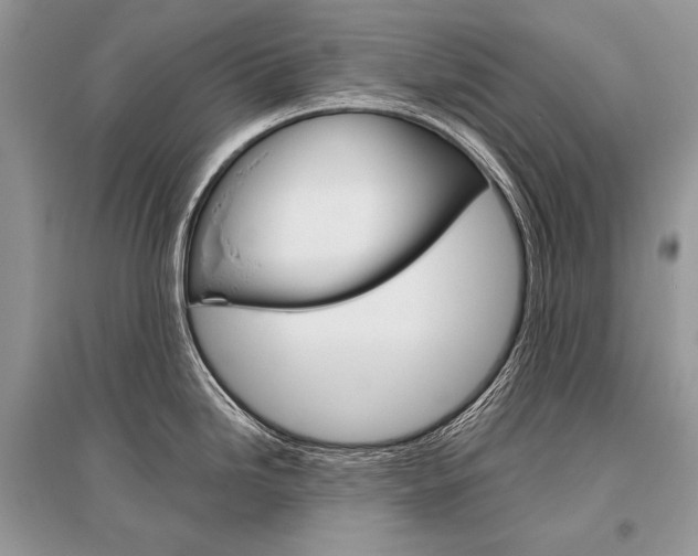 X0000096481246200801241139