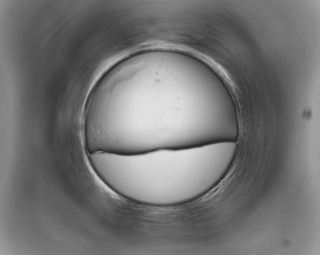 X0000096481247200801241139