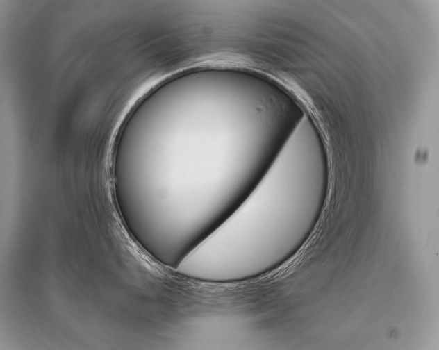 X0000096481248200801241139
