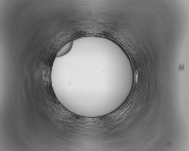 X0000096481251200801241139