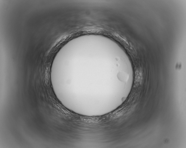 X0000096481254200801241139
