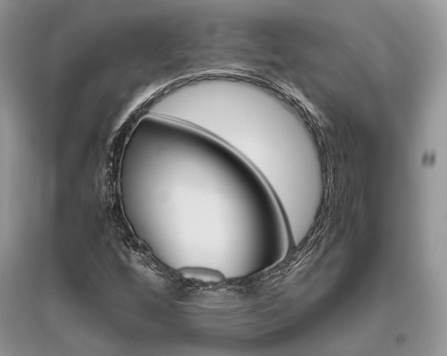 X0000096481256200801241139