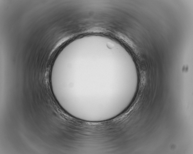 X0000096481258200801241139