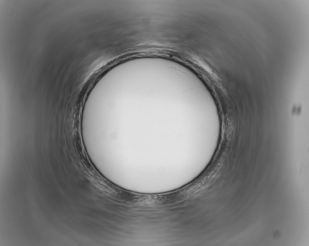 X0000096481259200801241138