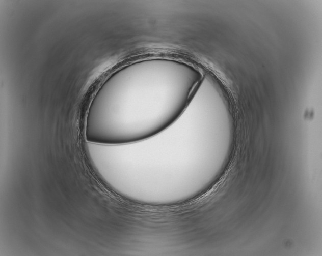 X0000096481261200801241138