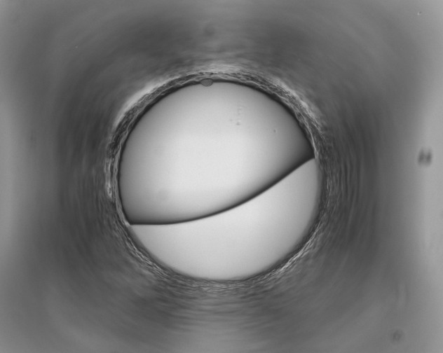 X0000096481262200801241138