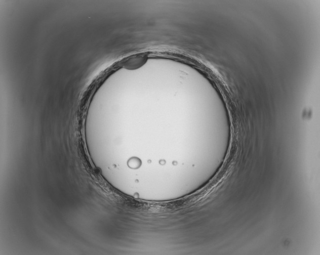 X0000096481263200801241138