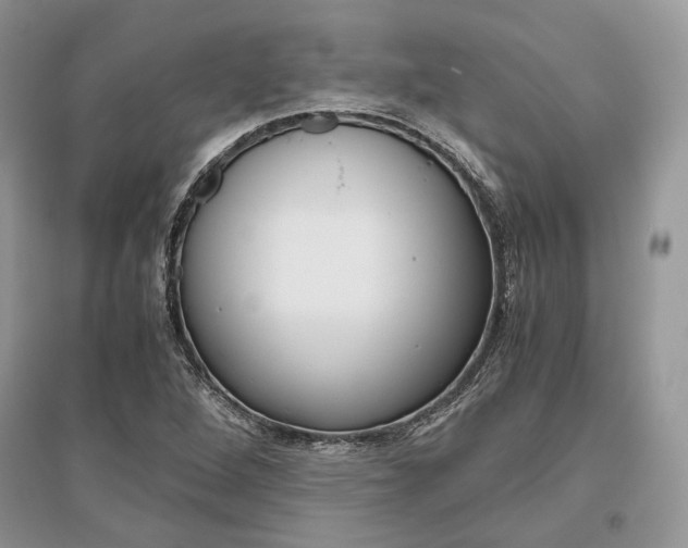 X0000096481264200801241138